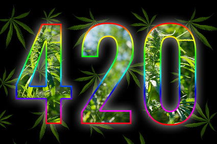 420 Special - 12 Mixed Decal Beakers